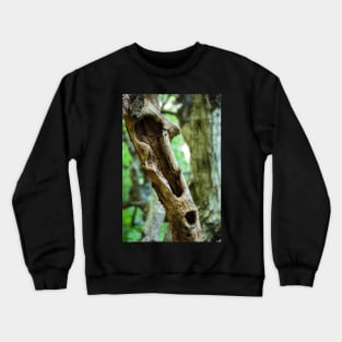 Dead tree in a young forest Crewneck Sweatshirt